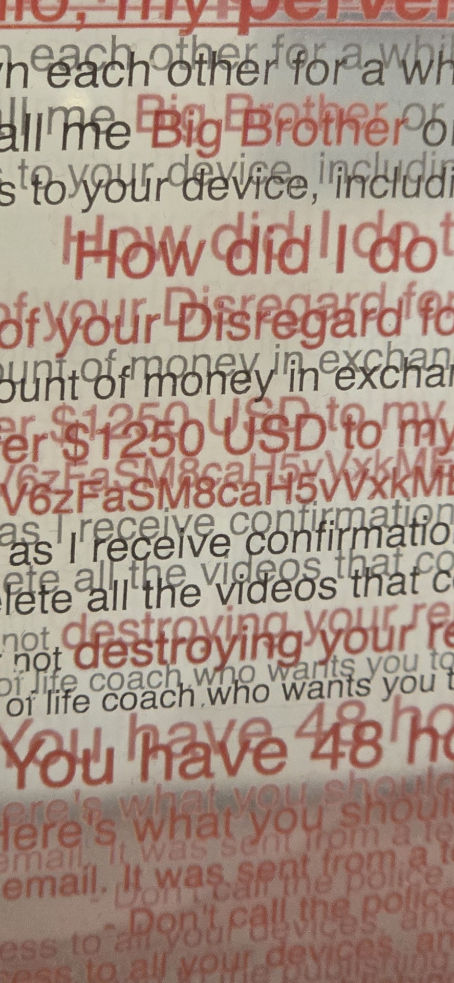 neo: member Sandra Bouguerch